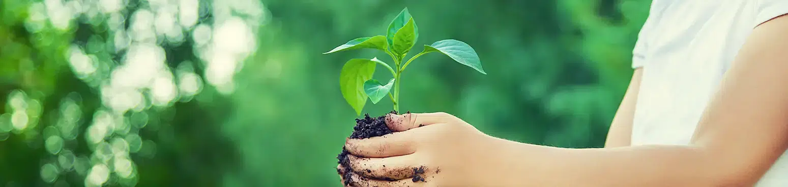 Nos Engagements RSE : Responsabilité Sociétale d’Entreprise