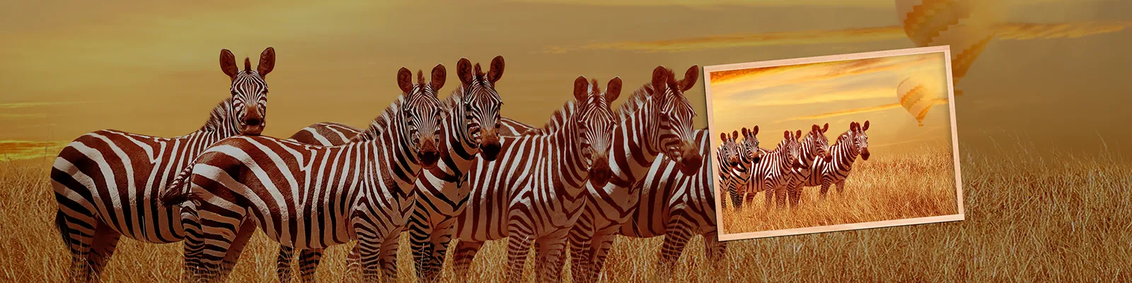 Tirages photo en dropshipping avec un imprimeur expert